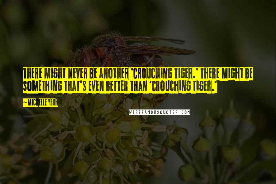 Michelle Yeoh Quotes: There might never be another 'Crouching Tiger.' There might be something that's even better than 'Crouching Tiger.'