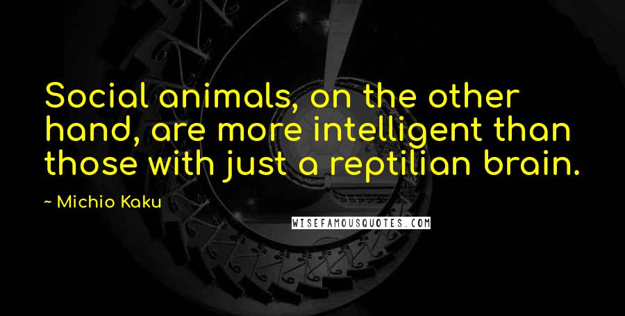 Michio Kaku Quotes: Social animals, on the other hand, are more intelligent than those with just a reptilian brain.