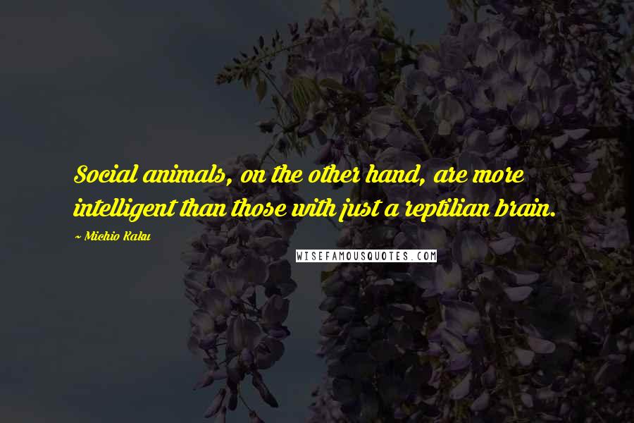 Michio Kaku Quotes: Social animals, on the other hand, are more intelligent than those with just a reptilian brain.