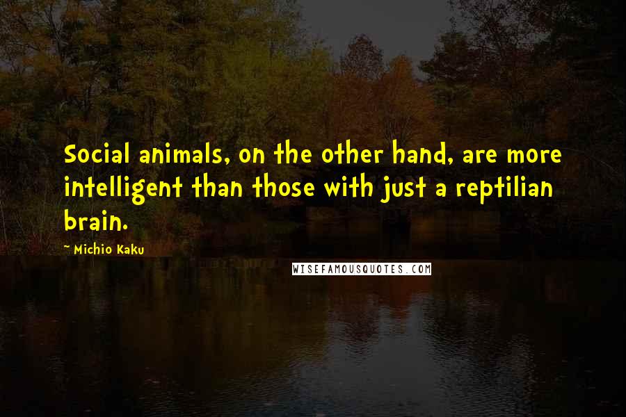 Michio Kaku Quotes: Social animals, on the other hand, are more intelligent than those with just a reptilian brain.