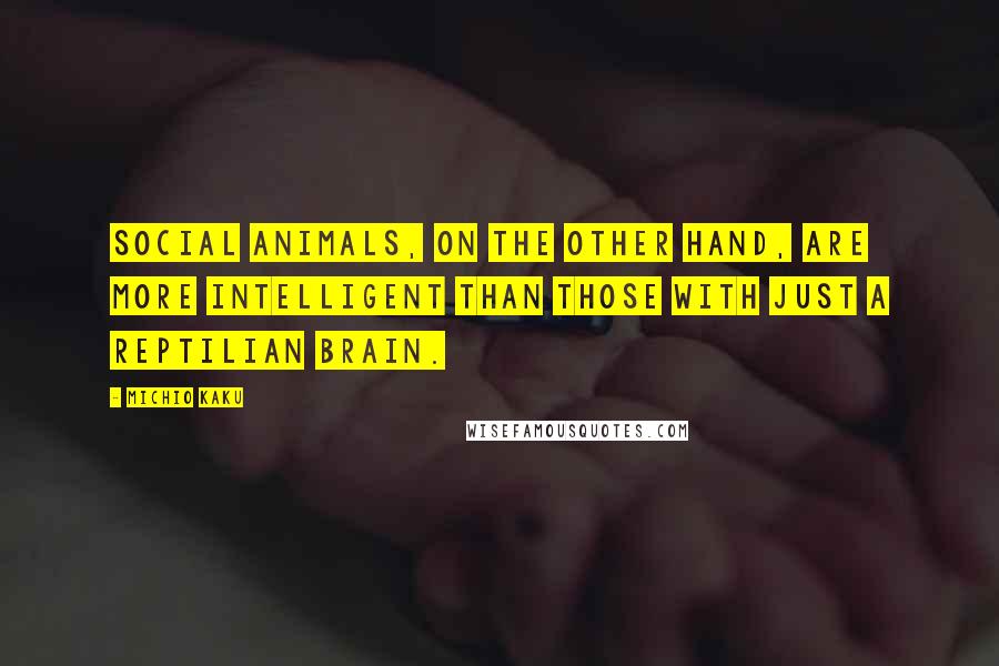 Michio Kaku Quotes: Social animals, on the other hand, are more intelligent than those with just a reptilian brain.