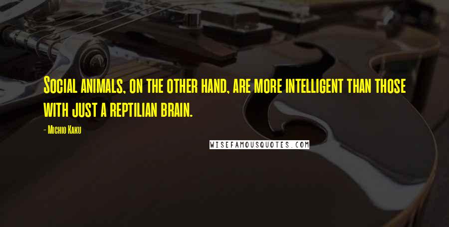 Michio Kaku Quotes: Social animals, on the other hand, are more intelligent than those with just a reptilian brain.