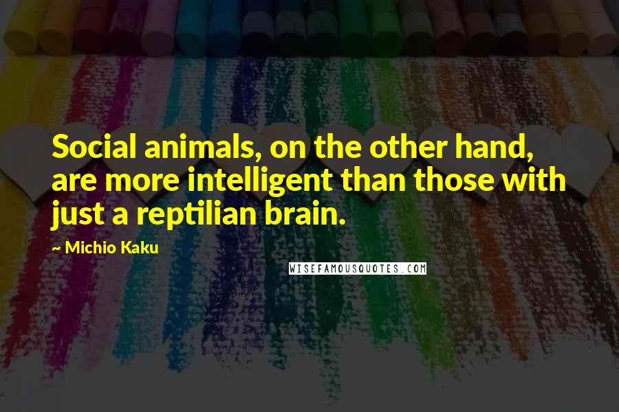 Michio Kaku Quotes: Social animals, on the other hand, are more intelligent than those with just a reptilian brain.