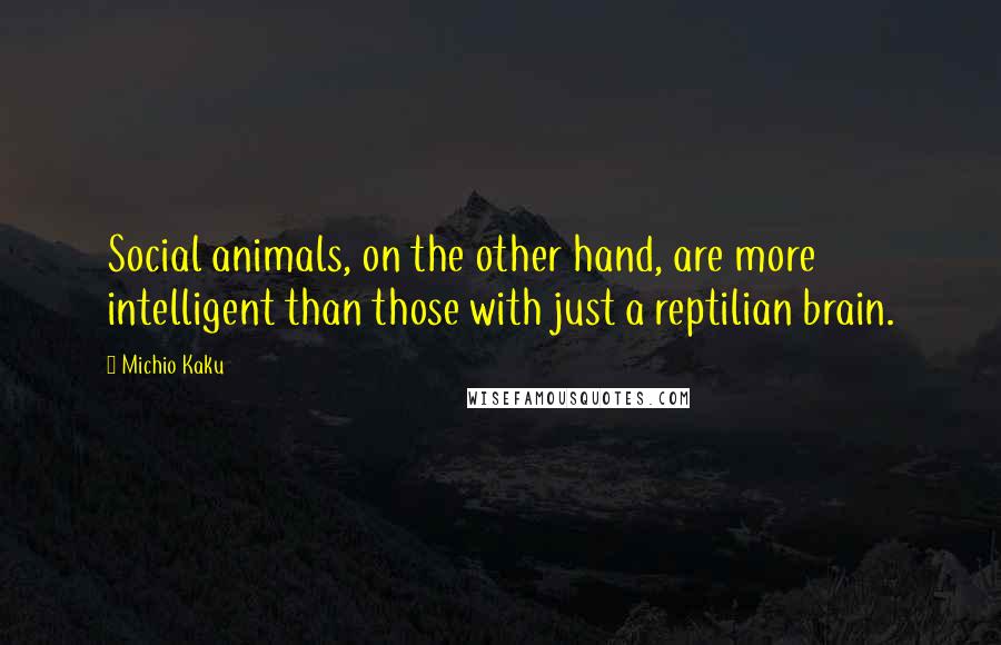 Michio Kaku Quotes: Social animals, on the other hand, are more intelligent than those with just a reptilian brain.
