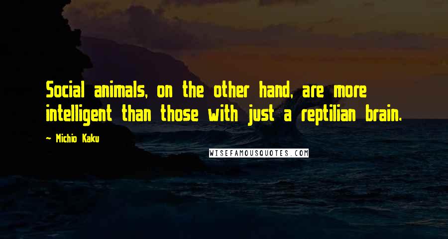 Michio Kaku Quotes: Social animals, on the other hand, are more intelligent than those with just a reptilian brain.