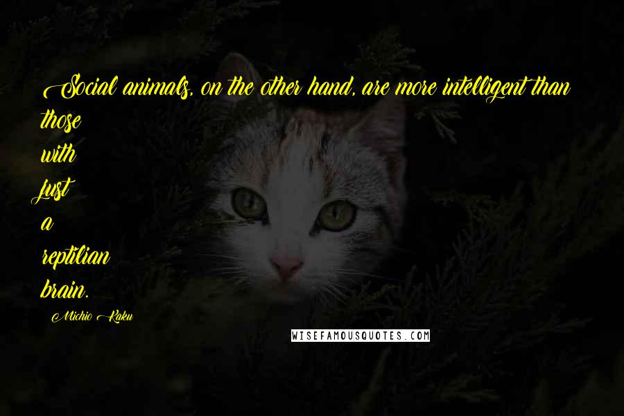 Michio Kaku Quotes: Social animals, on the other hand, are more intelligent than those with just a reptilian brain.