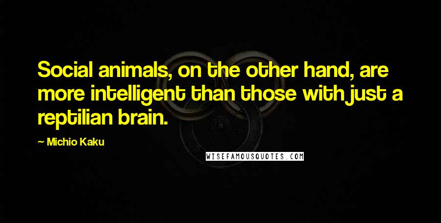 Michio Kaku Quotes: Social animals, on the other hand, are more intelligent than those with just a reptilian brain.