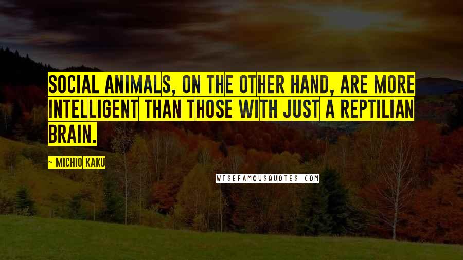 Michio Kaku Quotes: Social animals, on the other hand, are more intelligent than those with just a reptilian brain.