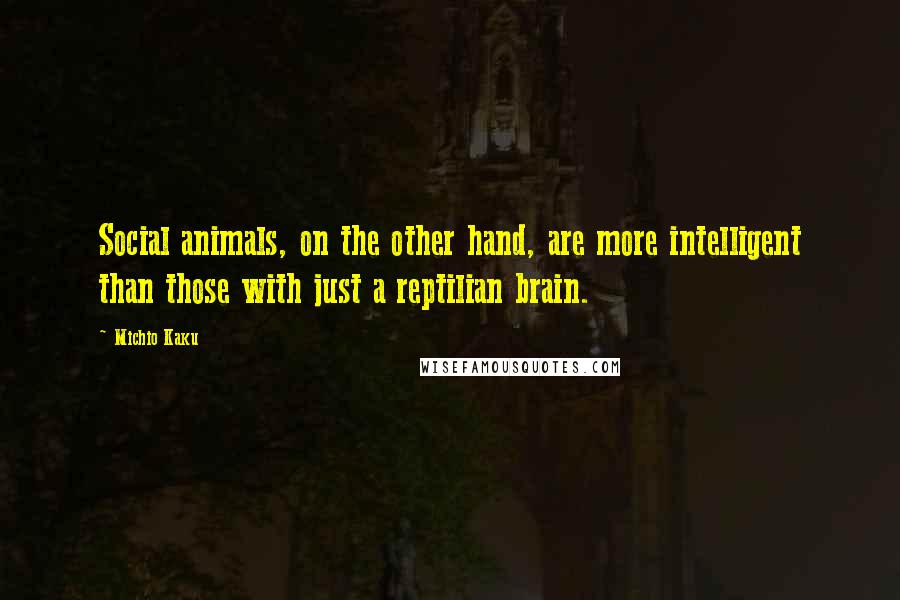 Michio Kaku Quotes: Social animals, on the other hand, are more intelligent than those with just a reptilian brain.