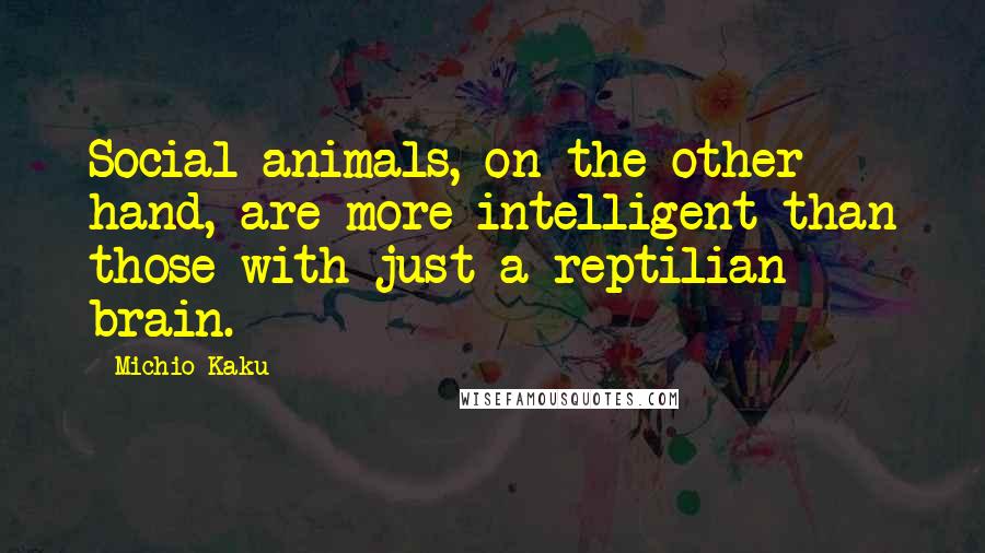 Michio Kaku Quotes: Social animals, on the other hand, are more intelligent than those with just a reptilian brain.