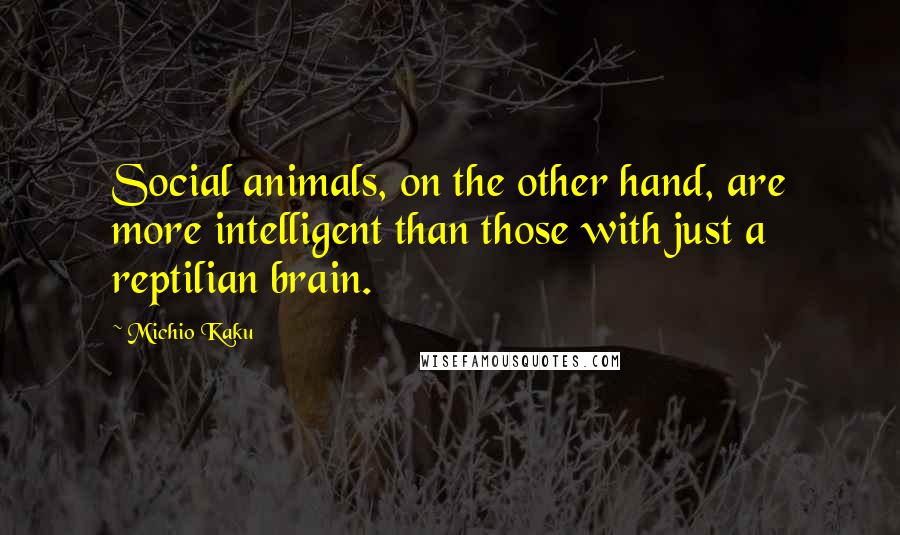 Michio Kaku Quotes: Social animals, on the other hand, are more intelligent than those with just a reptilian brain.
