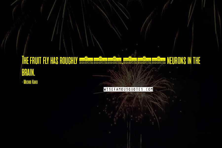 Michio Kaku Quotes: The fruit fly has roughly 150,000 neurons in the brain.
