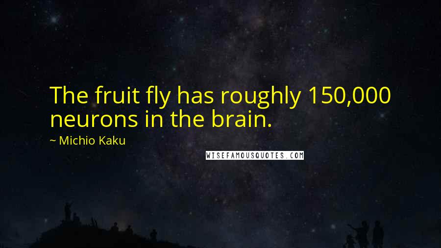 Michio Kaku Quotes: The fruit fly has roughly 150,000 neurons in the brain.