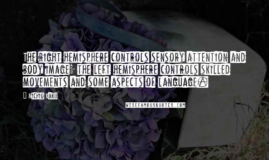 Michio Kaku Quotes: The right hemisphere controls sensory attention and body image; the left hemisphere controls skilled movements and some aspects of language.
