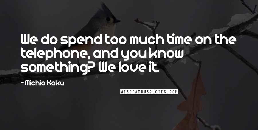 Michio Kaku Quotes: We do spend too much time on the telephone, and you know something? We love it.
