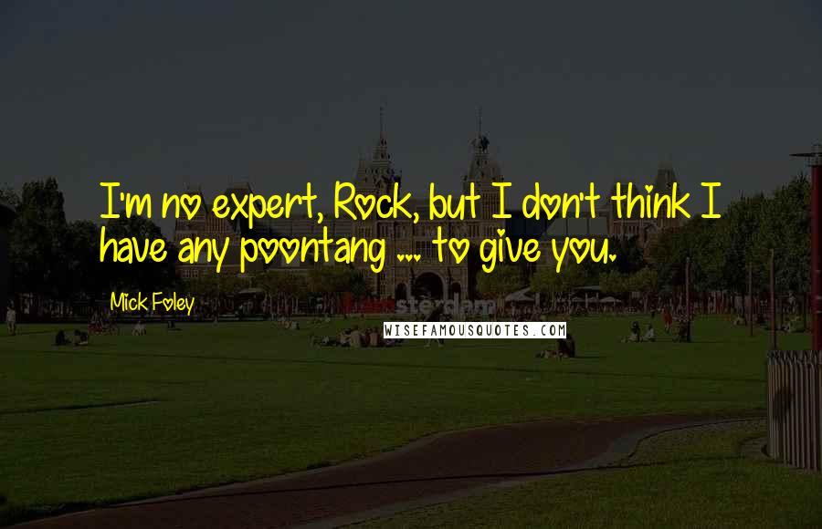 Mick Foley Quotes: I'm no expert, Rock, but I don't think I have any poontang ... to give you.