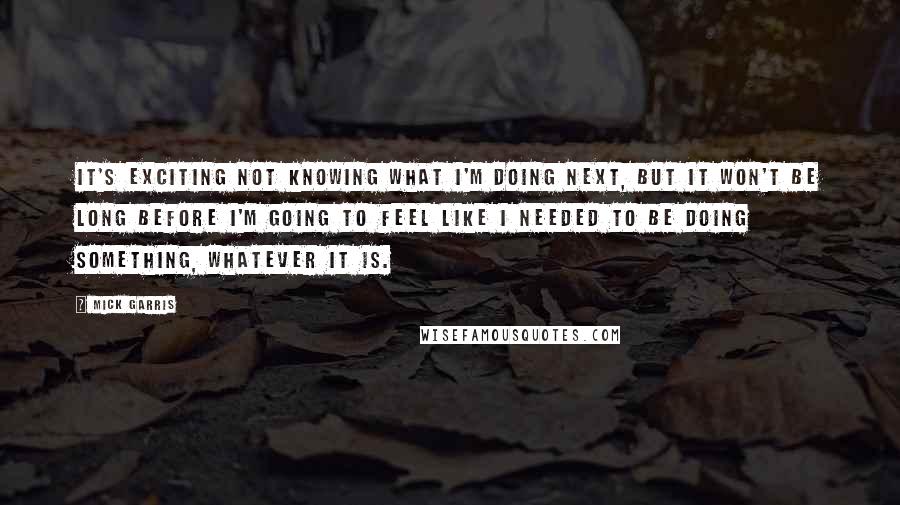 Mick Garris Quotes: It's exciting not knowing what I'm doing next, but it won't be long before I'm going to feel like I needed to be doing something, whatever it is.