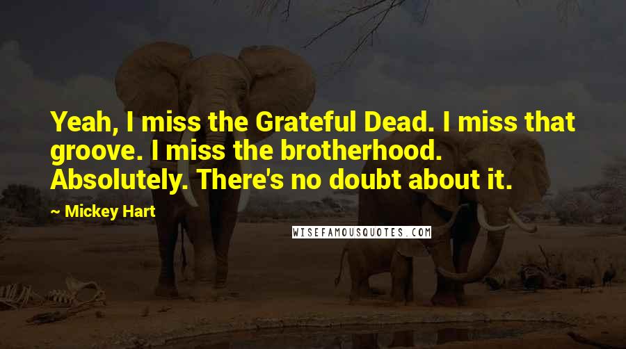 Mickey Hart Quotes: Yeah, I miss the Grateful Dead. I miss that groove. I miss the brotherhood. Absolutely. There's no doubt about it.