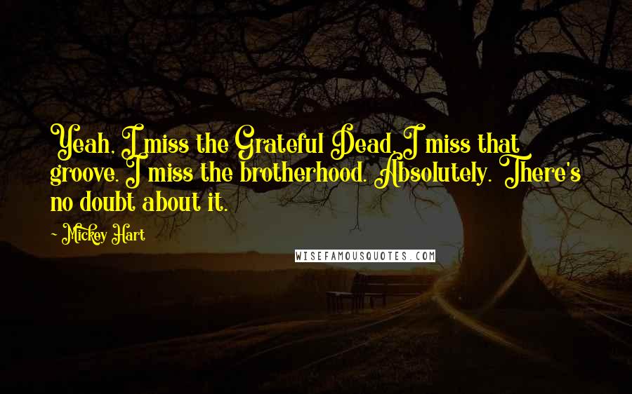 Mickey Hart Quotes: Yeah, I miss the Grateful Dead. I miss that groove. I miss the brotherhood. Absolutely. There's no doubt about it.