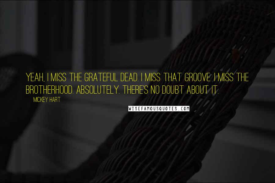 Mickey Hart Quotes: Yeah, I miss the Grateful Dead. I miss that groove. I miss the brotherhood. Absolutely. There's no doubt about it.