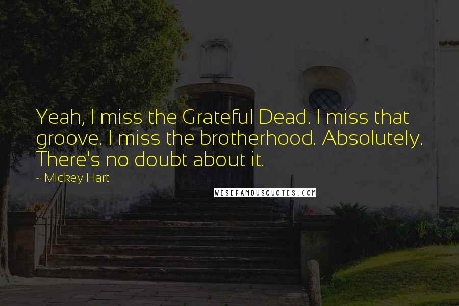 Mickey Hart Quotes: Yeah, I miss the Grateful Dead. I miss that groove. I miss the brotherhood. Absolutely. There's no doubt about it.