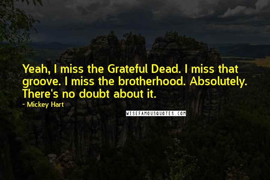 Mickey Hart Quotes: Yeah, I miss the Grateful Dead. I miss that groove. I miss the brotherhood. Absolutely. There's no doubt about it.