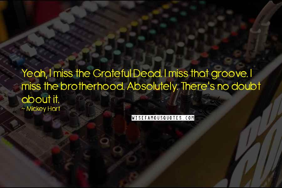 Mickey Hart Quotes: Yeah, I miss the Grateful Dead. I miss that groove. I miss the brotherhood. Absolutely. There's no doubt about it.