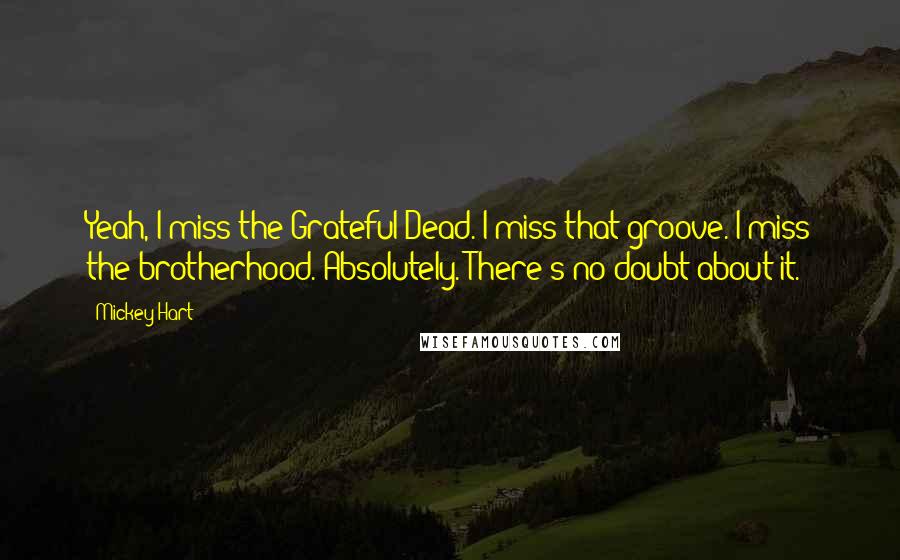 Mickey Hart Quotes: Yeah, I miss the Grateful Dead. I miss that groove. I miss the brotherhood. Absolutely. There's no doubt about it.