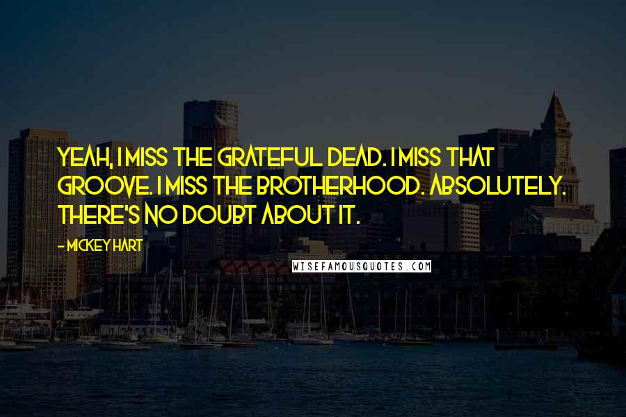 Mickey Hart Quotes: Yeah, I miss the Grateful Dead. I miss that groove. I miss the brotherhood. Absolutely. There's no doubt about it.