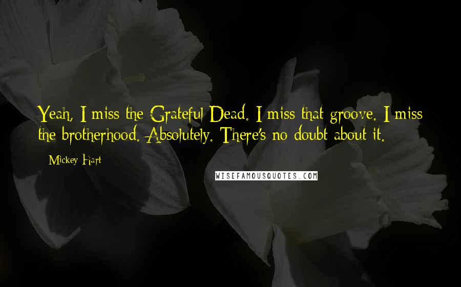 Mickey Hart Quotes: Yeah, I miss the Grateful Dead. I miss that groove. I miss the brotherhood. Absolutely. There's no doubt about it.