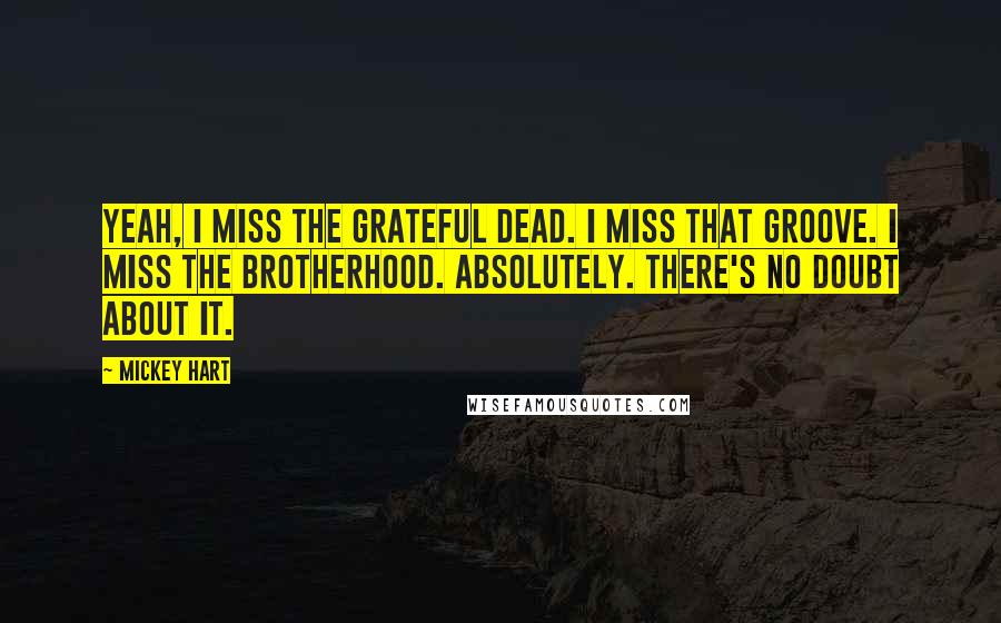 Mickey Hart Quotes: Yeah, I miss the Grateful Dead. I miss that groove. I miss the brotherhood. Absolutely. There's no doubt about it.