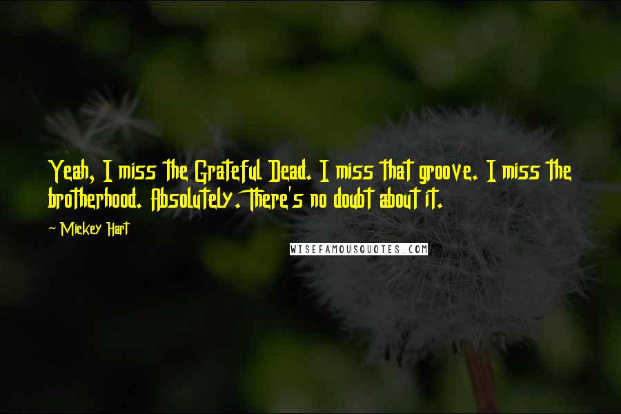 Mickey Hart Quotes: Yeah, I miss the Grateful Dead. I miss that groove. I miss the brotherhood. Absolutely. There's no doubt about it.