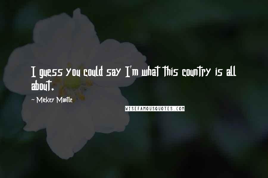 Mickey Mantle Quotes: I guess you could say I'm what this country is all about.