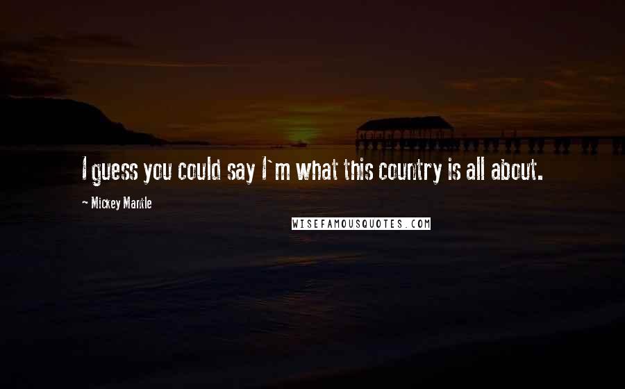 Mickey Mantle Quotes: I guess you could say I'm what this country is all about.
