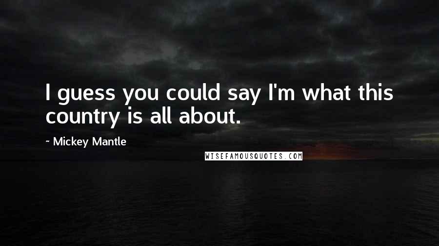 Mickey Mantle Quotes: I guess you could say I'm what this country is all about.