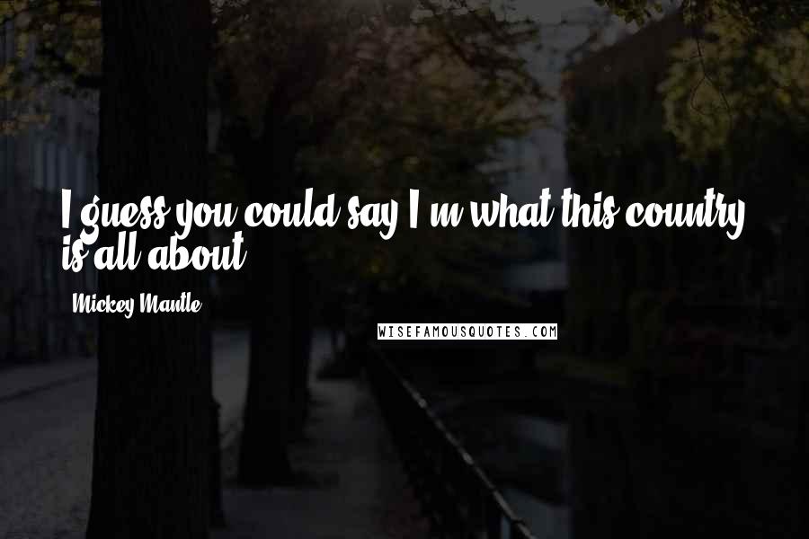 Mickey Mantle Quotes: I guess you could say I'm what this country is all about.