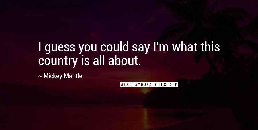 Mickey Mantle Quotes: I guess you could say I'm what this country is all about.