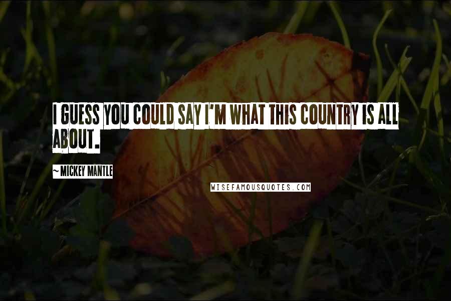 Mickey Mantle Quotes: I guess you could say I'm what this country is all about.
