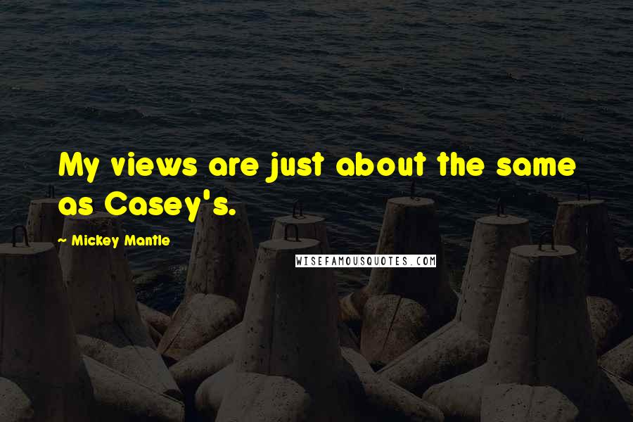 Mickey Mantle Quotes: My views are just about the same as Casey's.