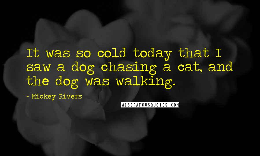 Mickey Rivers Quotes: It was so cold today that I saw a dog chasing a cat, and the dog was walking.
