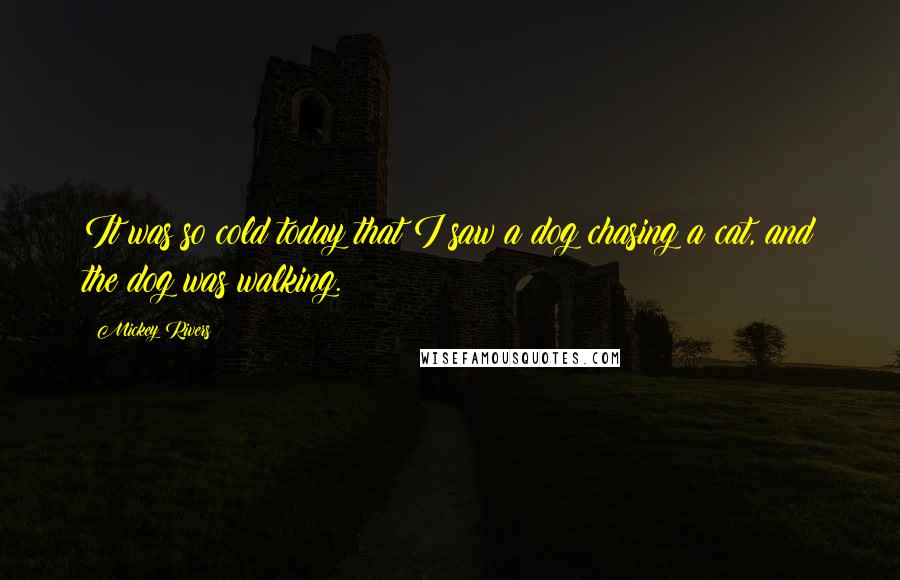 Mickey Rivers Quotes: It was so cold today that I saw a dog chasing a cat, and the dog was walking.