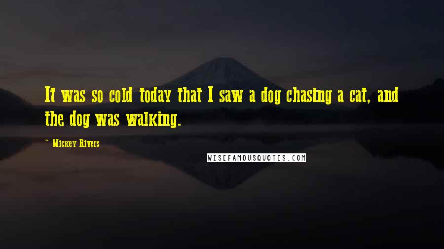 Mickey Rivers Quotes: It was so cold today that I saw a dog chasing a cat, and the dog was walking.