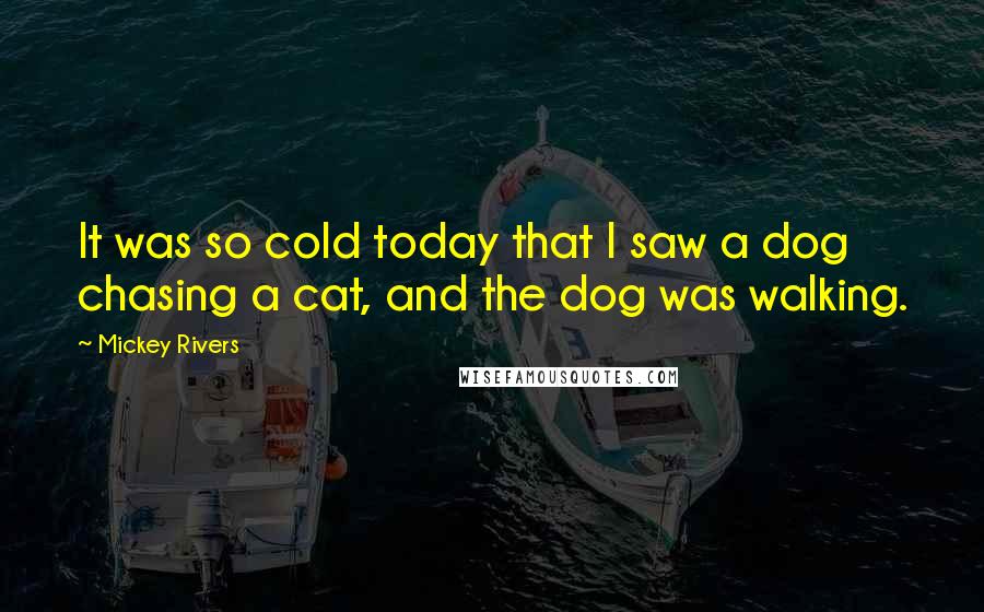 Mickey Rivers Quotes: It was so cold today that I saw a dog chasing a cat, and the dog was walking.