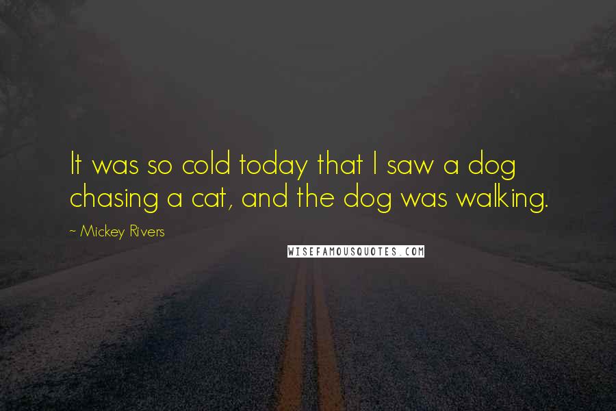 Mickey Rivers Quotes: It was so cold today that I saw a dog chasing a cat, and the dog was walking.