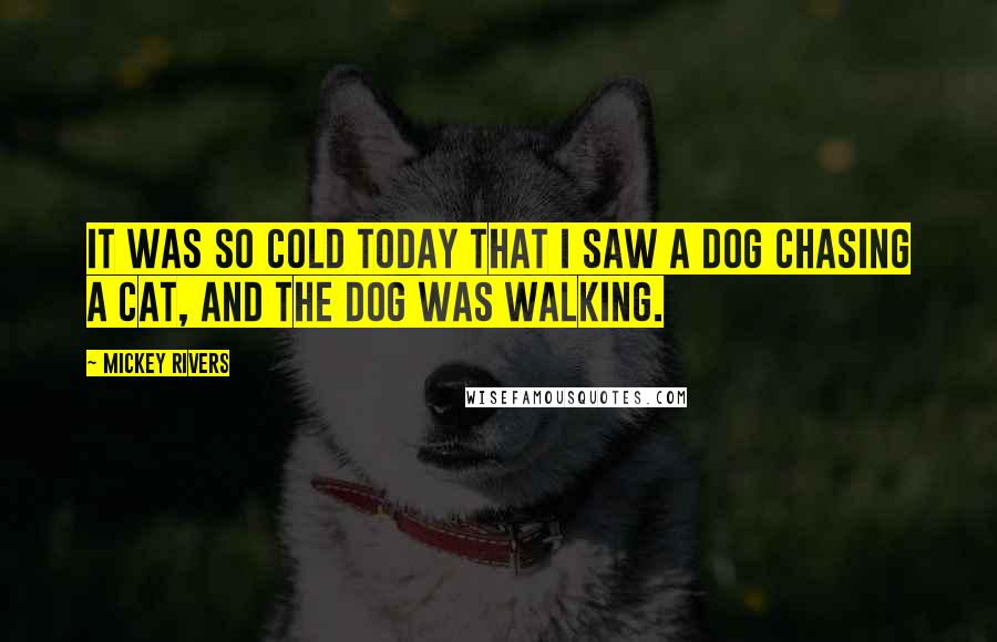 Mickey Rivers Quotes: It was so cold today that I saw a dog chasing a cat, and the dog was walking.