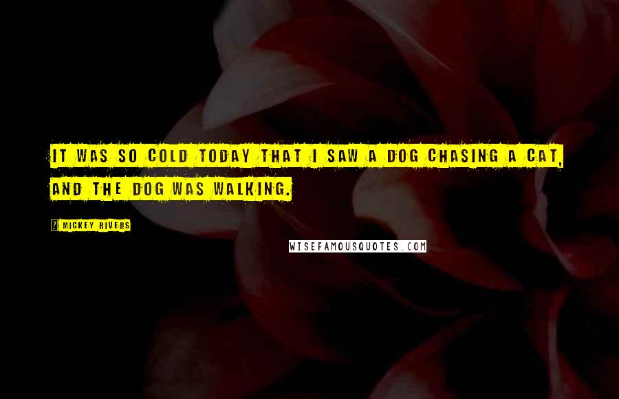 Mickey Rivers Quotes: It was so cold today that I saw a dog chasing a cat, and the dog was walking.