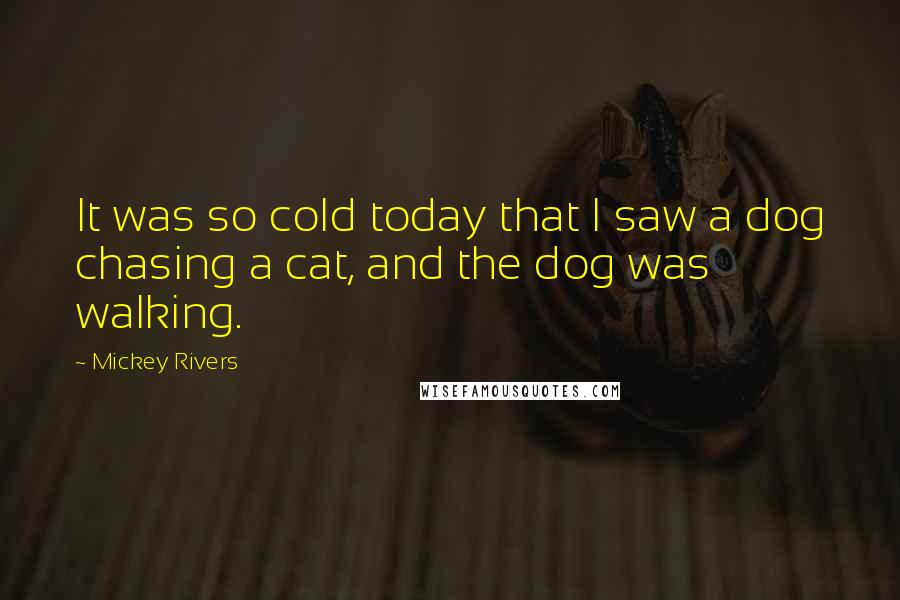 Mickey Rivers Quotes: It was so cold today that I saw a dog chasing a cat, and the dog was walking.