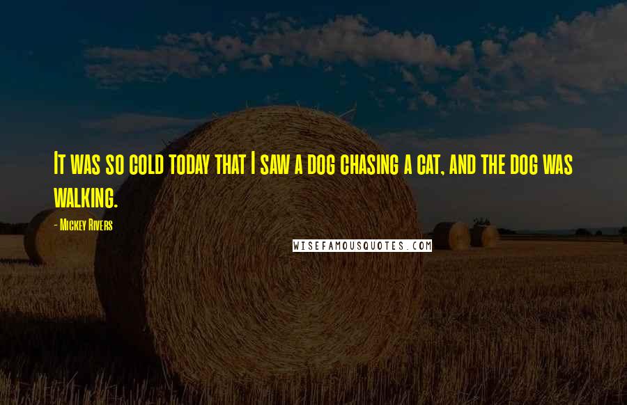 Mickey Rivers Quotes: It was so cold today that I saw a dog chasing a cat, and the dog was walking.