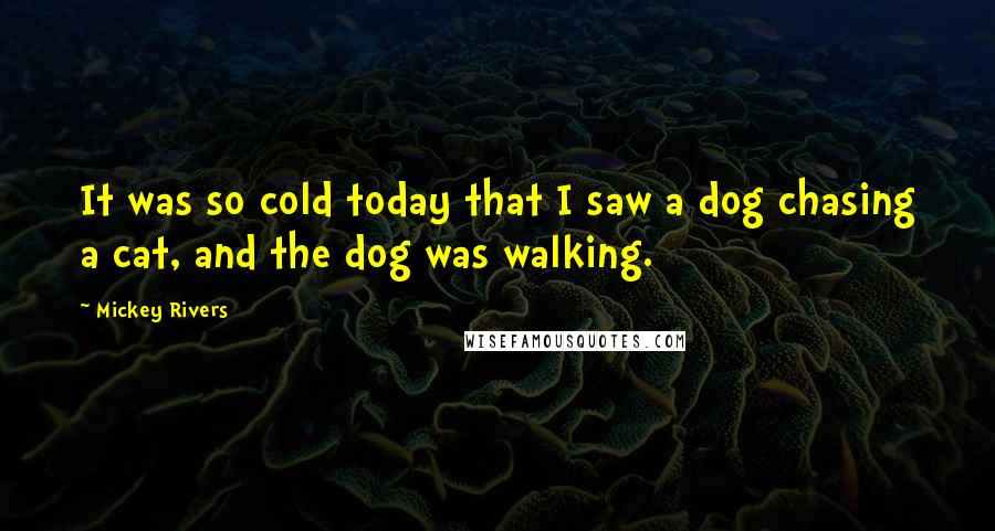 Mickey Rivers Quotes: It was so cold today that I saw a dog chasing a cat, and the dog was walking.