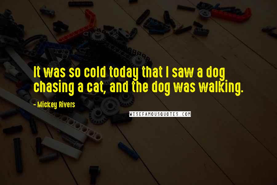 Mickey Rivers Quotes: It was so cold today that I saw a dog chasing a cat, and the dog was walking.